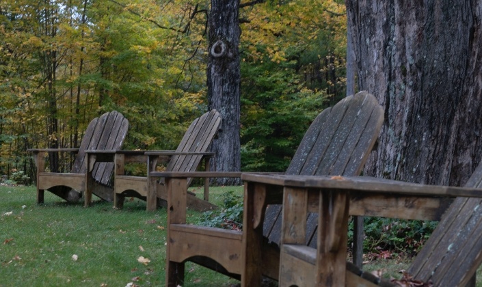 Adirondack chairs along the tree line
