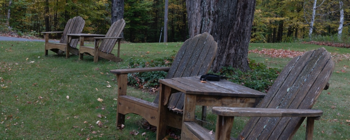 Row of Adirondack chairs along tree line