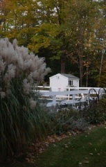 Charming fence line and outbuilding