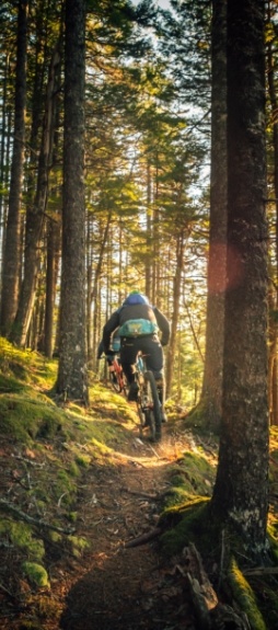 Person mountain biking