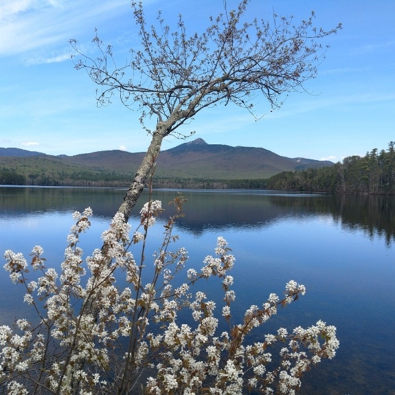 Mount Chocorua