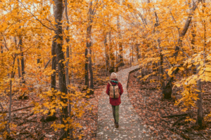 a person hiking and surrounded by colorful leaves