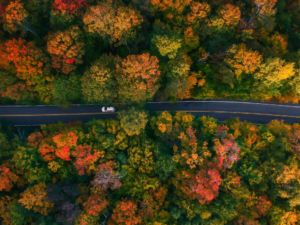 a person driving through the mountains
